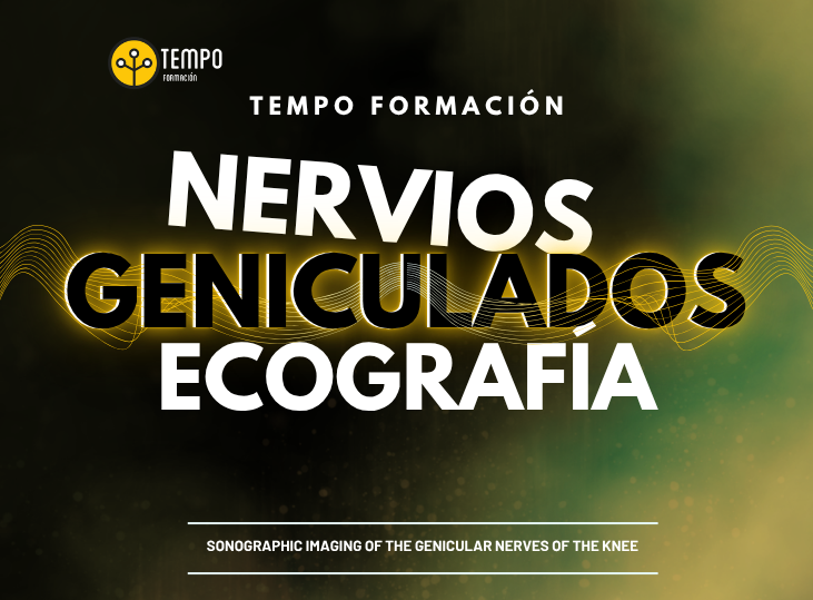 nervios-geniculados-y-ecografia